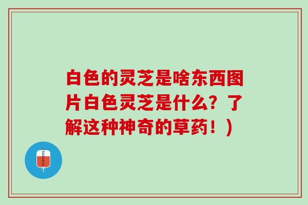 白色的灵芝是啥东西图片白色灵芝是什么？了解这种神奇的草药！)