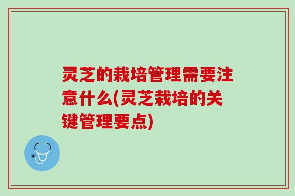 灵芝的栽培管理需要注意什么(灵芝栽培的关键管理要点)