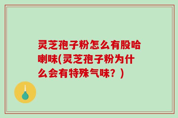 灵芝孢子粉怎么有股哈喇味(灵芝孢子粉为什么会有特殊气味？)