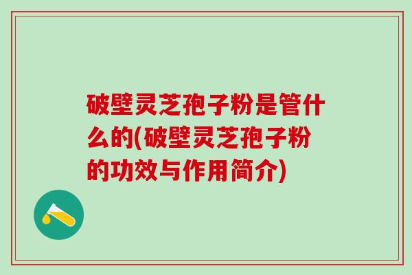 破壁灵芝孢子粉是管什么的(破壁灵芝孢子粉的功效与作用简介)