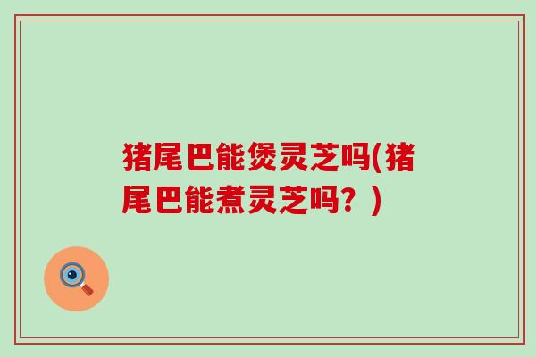 猪尾巴能煲灵芝吗(猪尾巴能煮灵芝吗？)