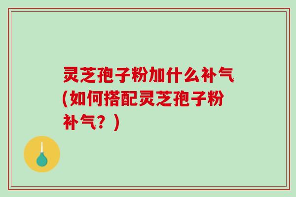 灵芝孢子粉加什么补气(如何搭配灵芝孢子粉补气？)
