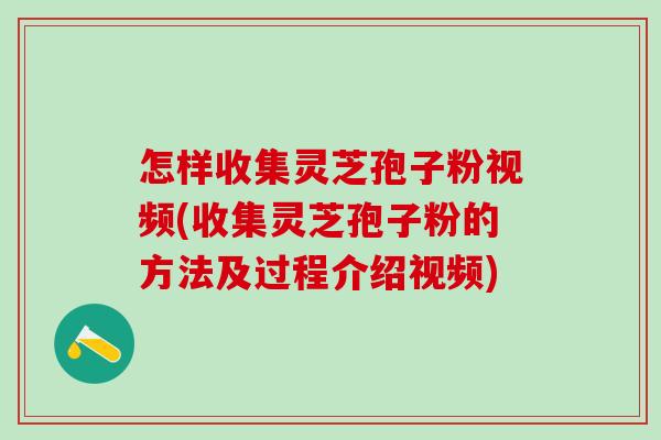 怎样收集灵芝孢子粉视频(收集灵芝孢子粉的方法及过程介绍视频)
