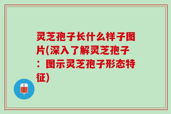 灵芝孢子长什么样子图片(深入了解灵芝孢子：图示灵芝孢子形态特征)