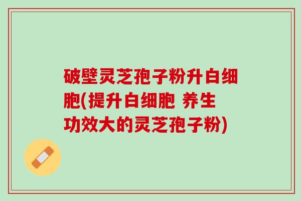 破壁灵芝孢子粉升白细胞(提升白细胞 养生功效大的灵芝孢子粉)