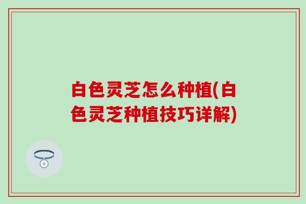 白色灵芝怎么种植(白色灵芝种植技巧详解)