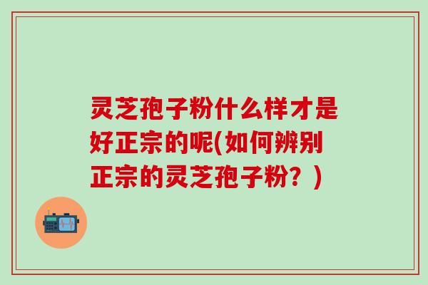灵芝孢子粉什么样才是好正宗的呢(如何辨别正宗的灵芝孢子粉？)