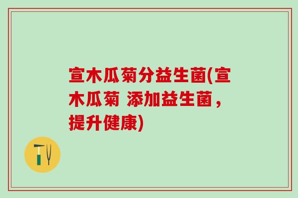 宣木瓜菊分益生菌(宣木瓜菊 添加益生菌，提升健康)