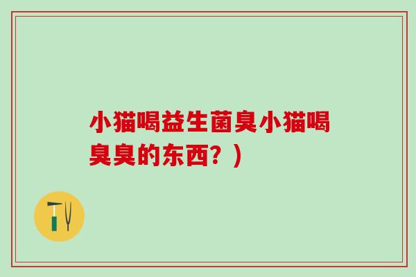 小猫喝益生菌臭小猫喝臭臭的东西？)