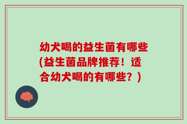 幼犬喝的益生菌有哪些(益生菌品牌推荐！适合幼犬喝的有哪些？)