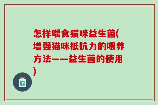 怎样喂食猫咪益生菌(增强猫咪抵抗力的喂养方法——益生菌的使用)