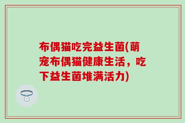 布偶猫吃完益生菌(萌宠布偶猫健康生活，吃下益生菌堆满活力)