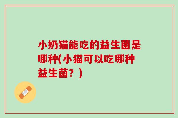 小奶猫能吃的益生菌是哪种(小猫可以吃哪种益生菌？)