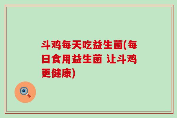 斗鸡每天吃益生菌(每日食用益生菌 让斗鸡更健康)