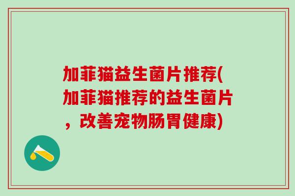 加菲猫益生菌片推荐(加菲猫推荐的益生菌片，改善宠物肠胃健康)