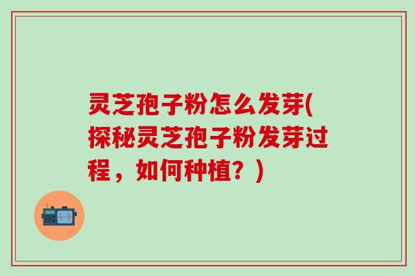 灵芝孢子粉怎么发芽(探秘灵芝孢子粉发芽过程，如何种植？)