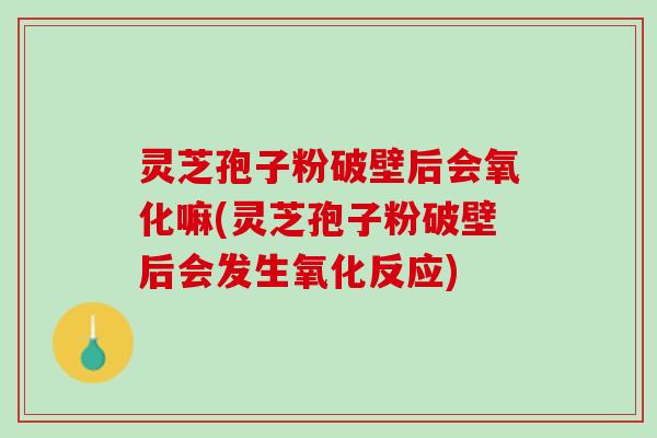 灵芝孢子粉破壁后会氧化嘛(灵芝孢子粉破壁后会发生氧化反应)