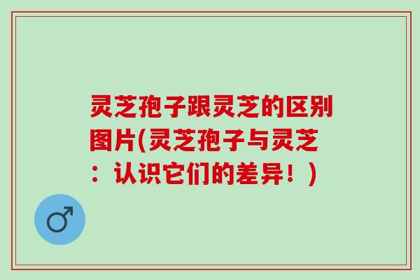 灵芝孢子跟灵芝的区别图片(灵芝孢子与灵芝：认识它们的差异！)