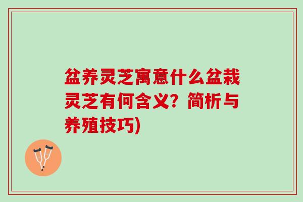 盆养灵芝寓意什么盆栽灵芝有何含义？简析与养殖技巧)
