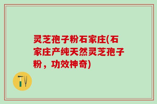 灵芝孢子粉石家庄(石家庄产纯天然灵芝孢子粉，功效神奇)