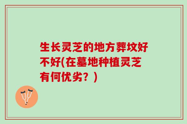 生长灵芝的地方葬坟好不好(在墓地种植灵芝有何优劣？)