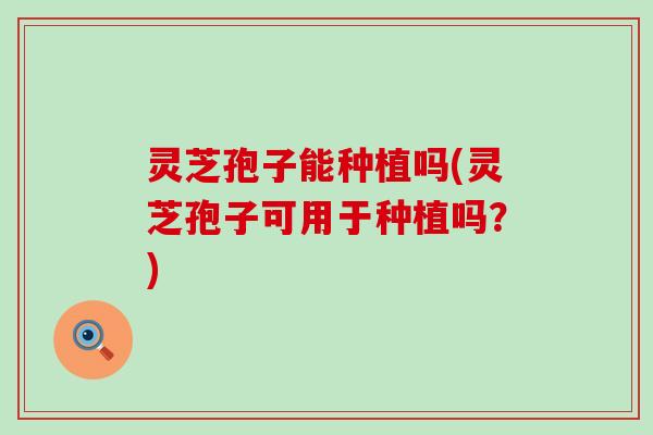 灵芝孢子能种植吗(灵芝孢子可用于种植吗？)