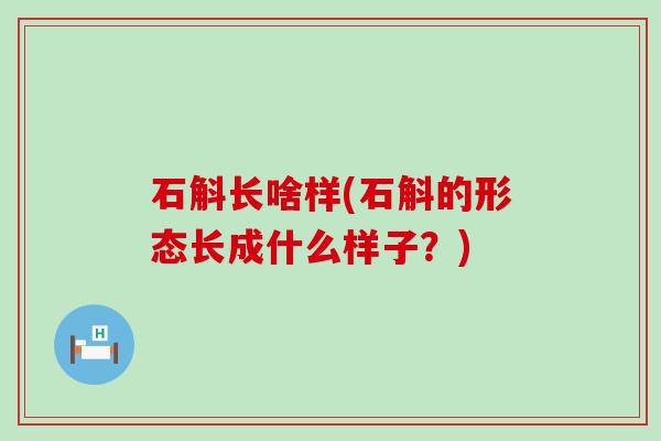 石斛长啥样(石斛的形态长成什么样子？)
