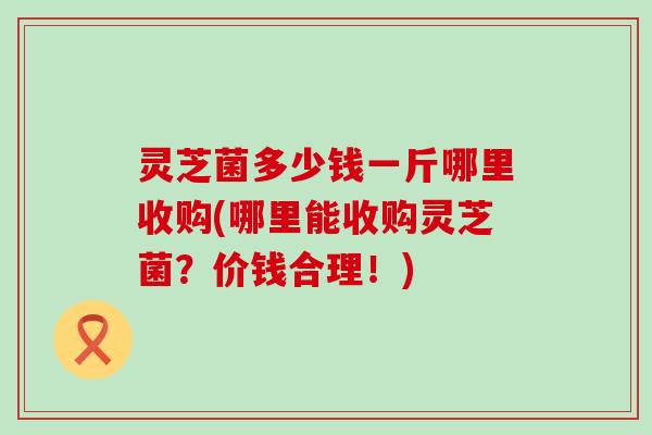 灵芝菌多少钱一斤哪里收购(哪里能收购灵芝菌？价钱合理！)