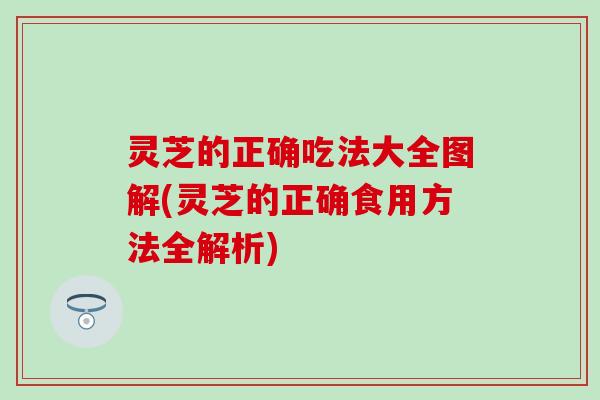 灵芝的正确吃法大全图解(灵芝的正确食用方法全解析)
