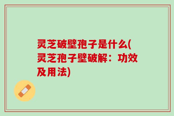 灵芝破壁孢子是什么(灵芝孢子壁破解：功效及用法)