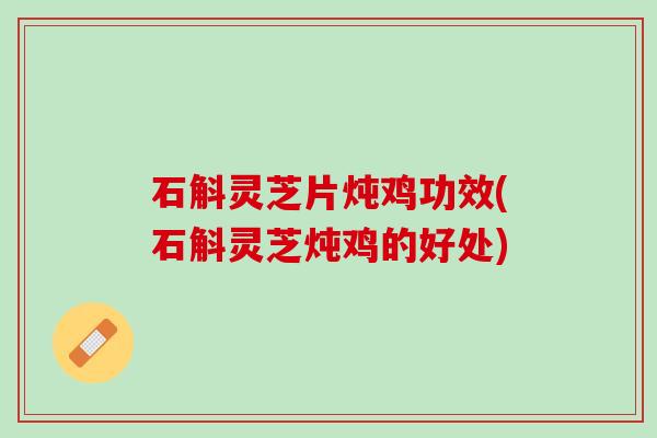 石斛灵芝片炖鸡功效(石斛灵芝炖鸡的好处)