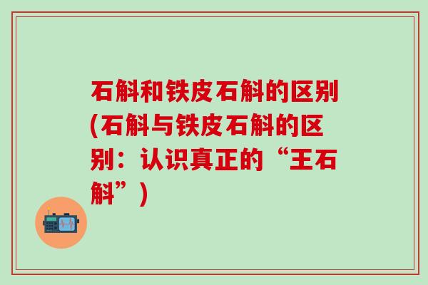 石斛和铁皮石斛的区别(石斛与铁皮石斛的区别：认识真正的“王石斛”)