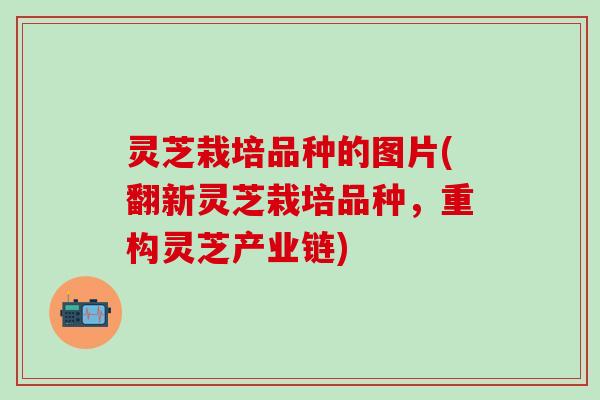 灵芝栽培品种的图片(翻新灵芝栽培品种，重构灵芝产业链)