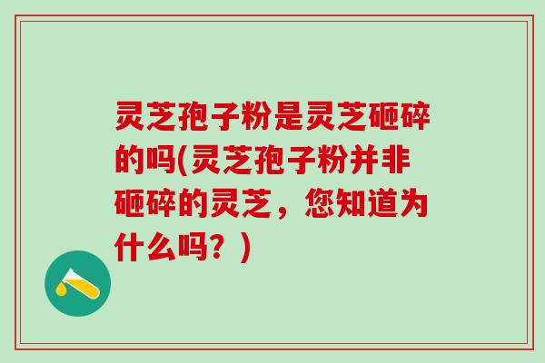 灵芝孢子粉是灵芝砸碎的吗(灵芝孢子粉并非砸碎的灵芝，您知道为什么吗？)