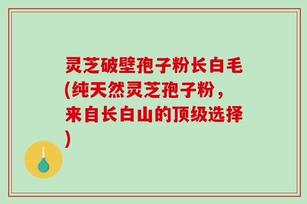灵芝破壁孢子粉长白毛(纯天然灵芝孢子粉，来自长白山的顶级选择)