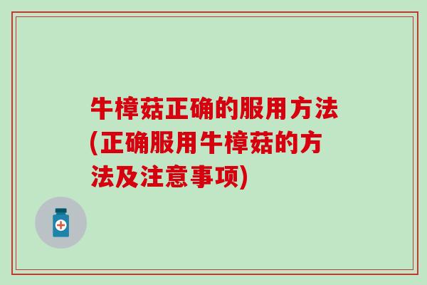 牛樟菇正确的服用方法(正确服用牛樟菇的方法及注意事项)