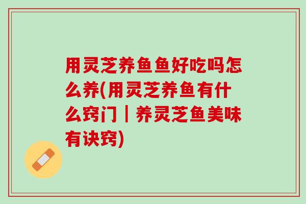 用灵芝养鱼鱼好吃吗怎么养(用灵芝养鱼有什么窍门｜养灵芝鱼美味有诀窍)