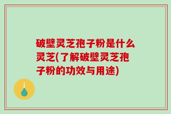 破壁灵芝孢子粉是什么灵芝(了解破壁灵芝孢子粉的功效与用途)