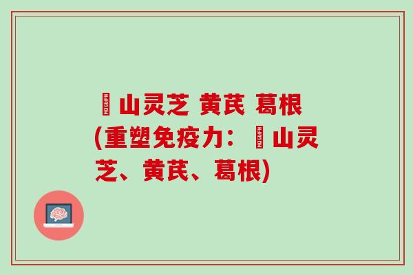 矷山灵芝 黄芪 葛根(重塑免疫力：矷山灵芝、黄芪、葛根)