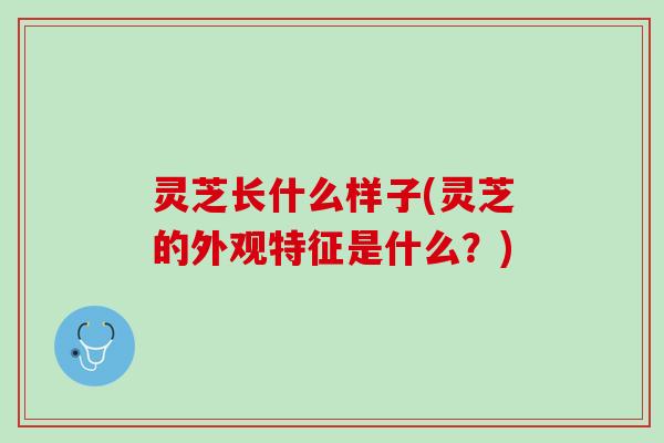 灵芝长什么样子(灵芝的外观特征是什么？)