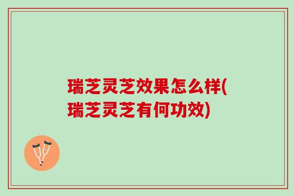 瑞芝灵芝效果怎么样(瑞芝灵芝有何功效)