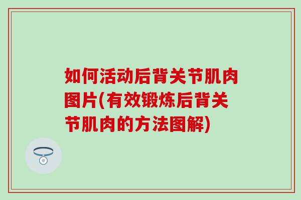 如何活动后背关节肌肉图片(有效锻炼后背关节肌肉的方法图解)