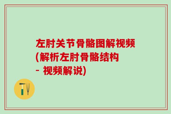 左肘关节骨骼图解视频(解析左肘骨骼结构 - 视频解说)