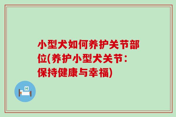 小型犬如何养护关节部位(养护小型犬关节：保持健康与幸福)