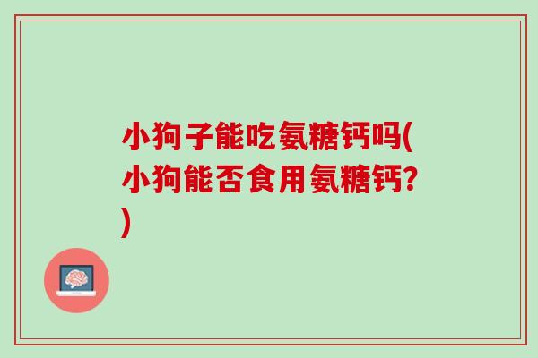 小狗子能吃氨糖钙吗(小狗能否食用氨糖钙？)