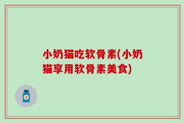小奶猫吃软骨素(小奶猫享用软骨素美食)