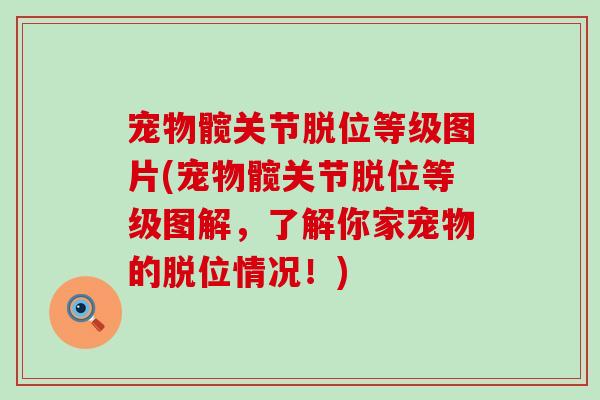 宠物髋关节脱位等级图片(宠物髋关节脱位等级图解，了解你家宠物的脱位情况！)