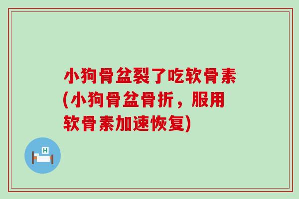 小狗骨盆裂了吃软骨素(小狗骨盆骨折，服用软骨素加速恢复)