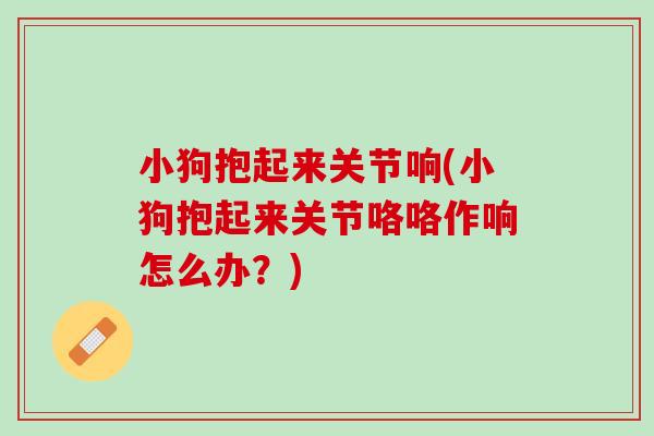 小狗抱起来关节响(小狗抱起来关节咯咯作响怎么办？)