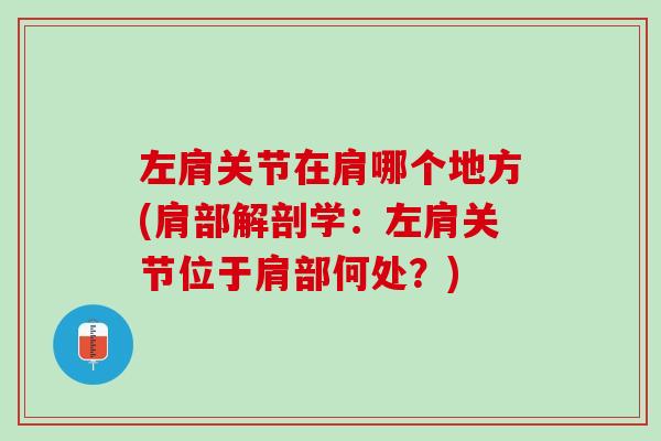 左肩关节在肩哪个地方(肩部解剖学：左肩关节位于肩部何处？)